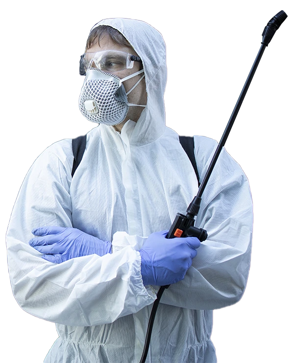 principales-servicios-fumigador